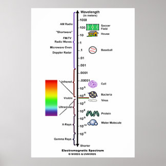 Póster Espectro electromagnético (comparación de longitud