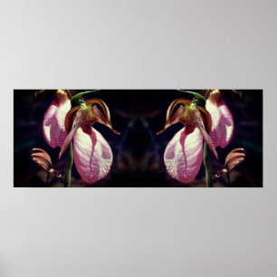 Póster Espejo de par de orquídeas de Lady Wild Pink