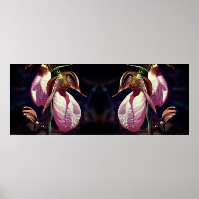 Póster Espejo de par de orquídeas de Lady Wild Pink (Frente)