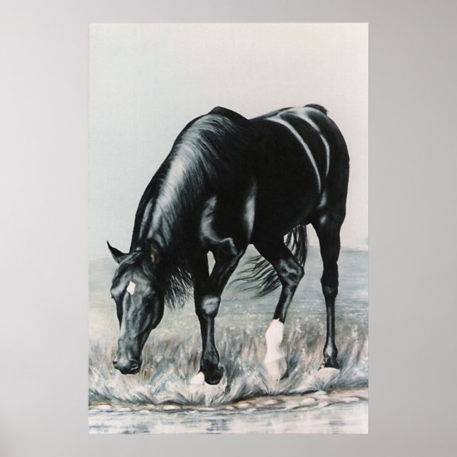 Póster Espejo, Espejo.....imprimir (Frente)