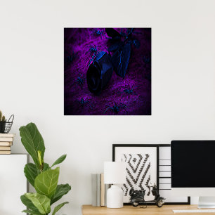 Póster Espeluznante Rosa de material negro, arañas negras