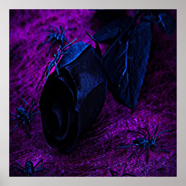 Póster Espeluznante Rosa de material negro, arañas negras (Frente)