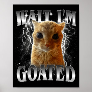 Póster Espera, estoy enloquecido meme divertido de gato m