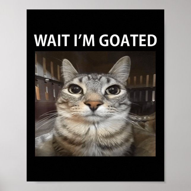 Póster Espera Estoy Goated Gato Tonto Meme  (Frente)