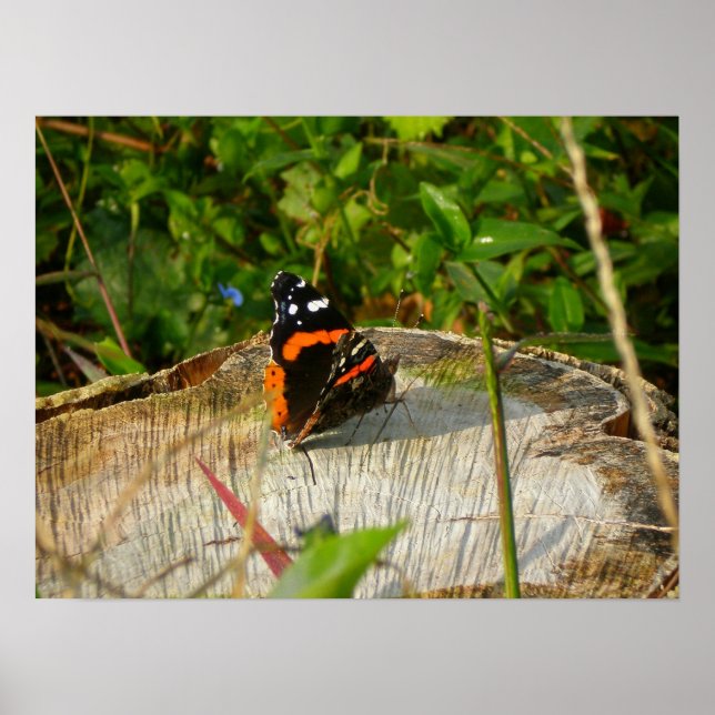 Póster Esperando (Frente)