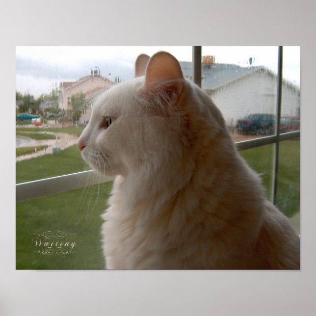 Póster Esperando a mi humano (Frente)