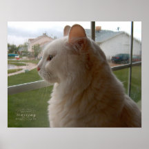 Esperando a mi ser humano