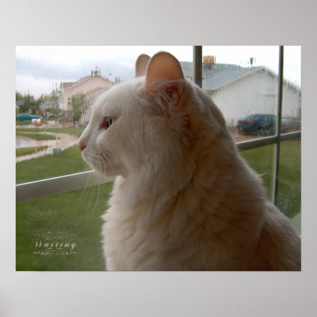 Póster Esperando a mi ser humano (Frente)