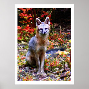 PÓSTER ESPERANDO A SANDRA