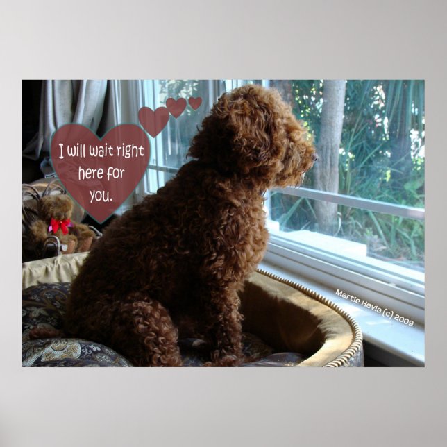 Póster Esperando A Su Poster (Frente)