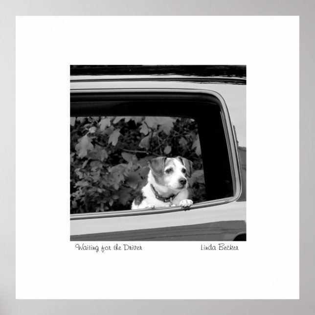 Póster Esperando la fotografía de conducir de Linda Becke (Frente)