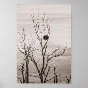 Póster Esperando por la vida