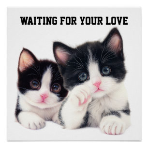 Póster Esperando tu amor
