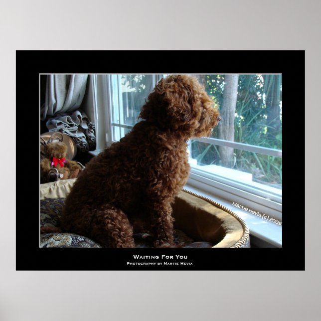 Póster "Esperándote" (Frente)