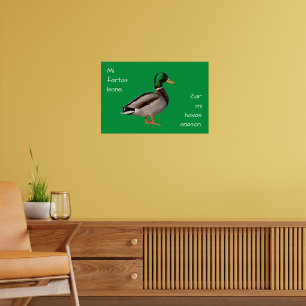 Póster Esperanto: Mi fartas bone, ĉar mi havas anason.