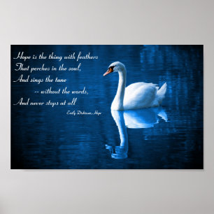 Póster Esperanza, cisne blanco en el Poster de las aguas