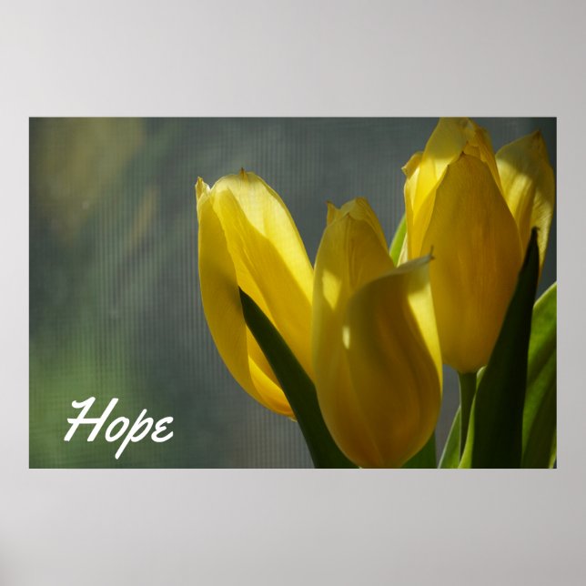 Póster Esperanza - Flores amarillas de tulipanes (Frente)