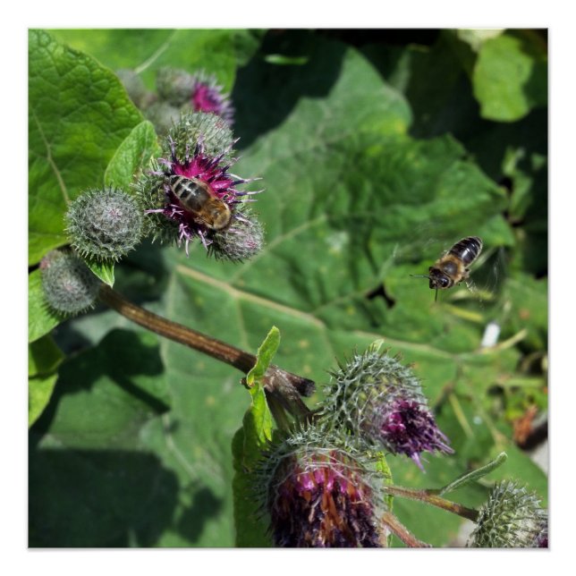 Póster esperarme (Anverso)