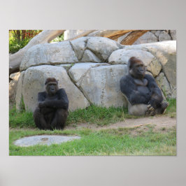 Póster Esperemos y veamos