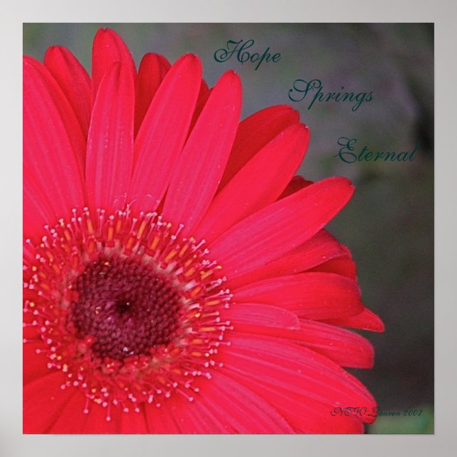 Póster Espero Que Salte Eterno... (Frente)