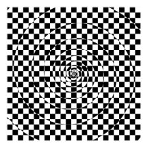 Espiral cuadriculada logarítmica Var. 2