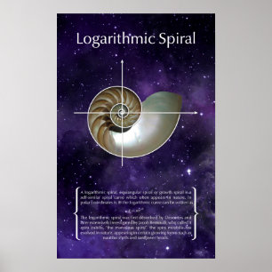 Póster Espiral logarítmica