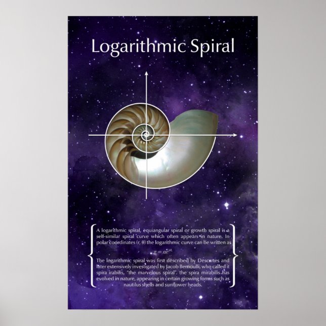 Póster Espiral logarítmica (Frente)