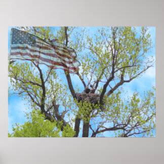 Póster Espíritu de libertad - Poster