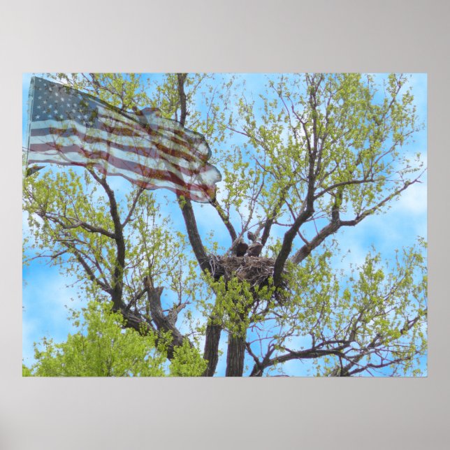 Póster Espíritu de libertad - Poster (Frente)