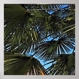 Póster  espiritu del verano