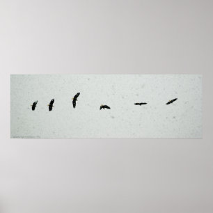 Póster Espíritu del vuelo