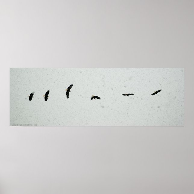 Póster Espíritu del vuelo (Frente)