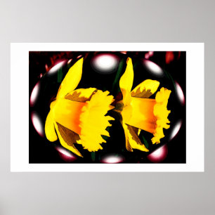 Póster Espíritus de Daffodil