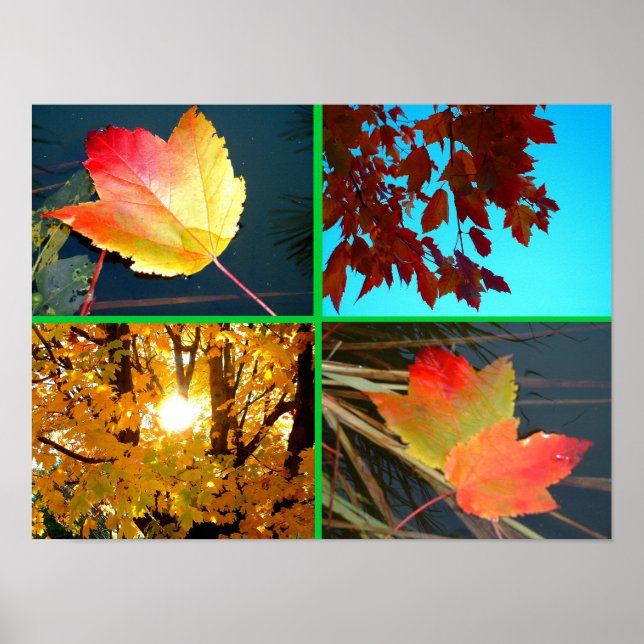 Póster Esplendor de caída (Frente)