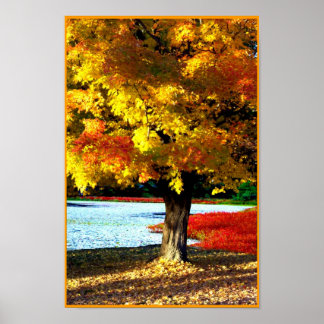 Póster Esplendor de otoño