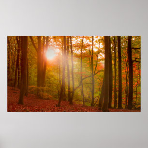 Póster Esplendor del otoño