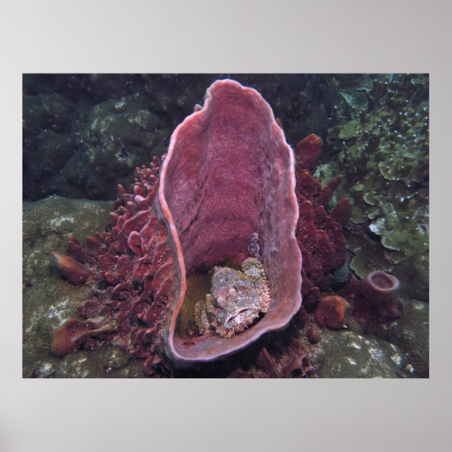 Póster Esponja (Frente)