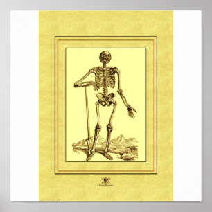 Póster Esqueleto