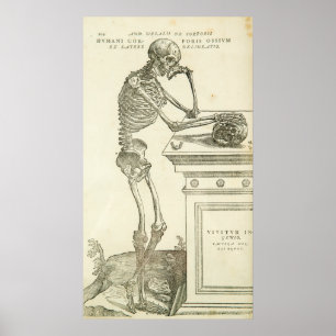 Póster Esqueleto de Andreas Vesalius de la anatomía del