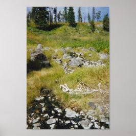 Póster Esqueleto de Elk