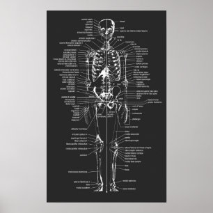Póster esqueleto de pizarra gris