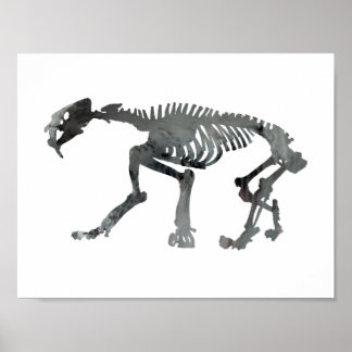Póster Esqueleto de Smilodon