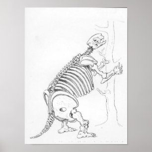 Póster Esqueleto de un Mylodon