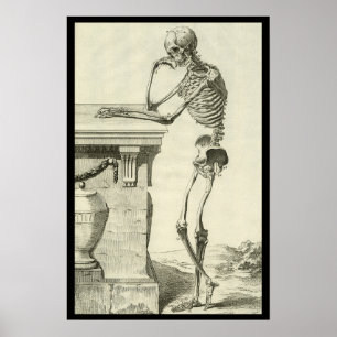 Póster Esqueleto Vintage, Anatomía Humana por Denis Dider