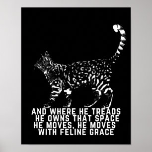 Póster Esquema de gato con poema de gracia felina negro