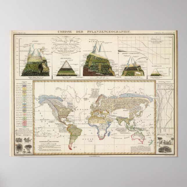 Póster Esquema de la geografía de las plantas (Frente)