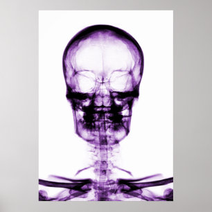 PÓSTER ESQUEMA DE VISIÓN DE RAYOS X - PURPLE