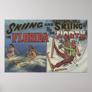 Póster Esquí acuático en la Florida contra la nieve que