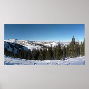 Póster Esquí de árbol