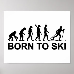 Póster Esquí de fondo de la evolución
